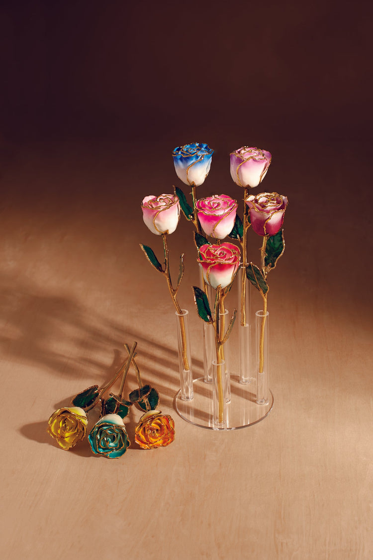 24K Gold Plated Roses