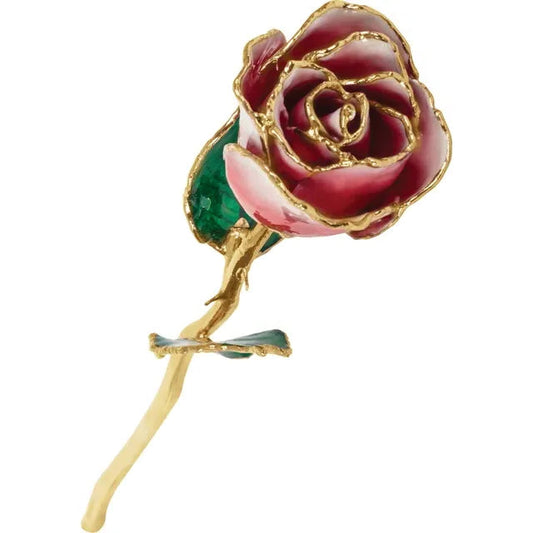 Lacquered Frozen Red & White Ombre Rose with 24K Gold-Plated Trim