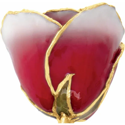Lacquered Frozen Red & White Ombre Rose with 24K Gold-Plated Trim