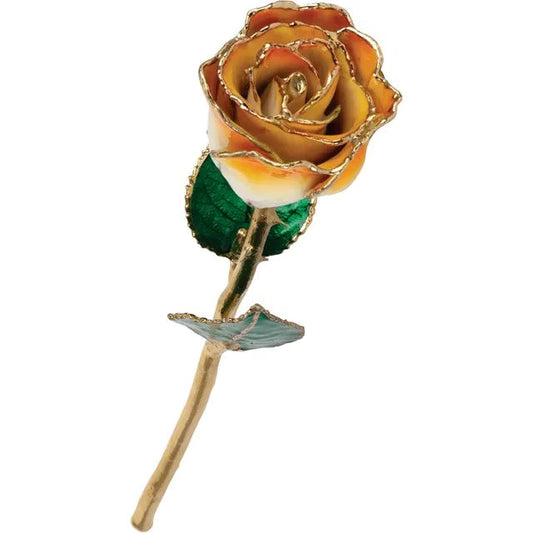Lacquered Cream & Orange Ombre Rose with 24K Gold-Plated Trim