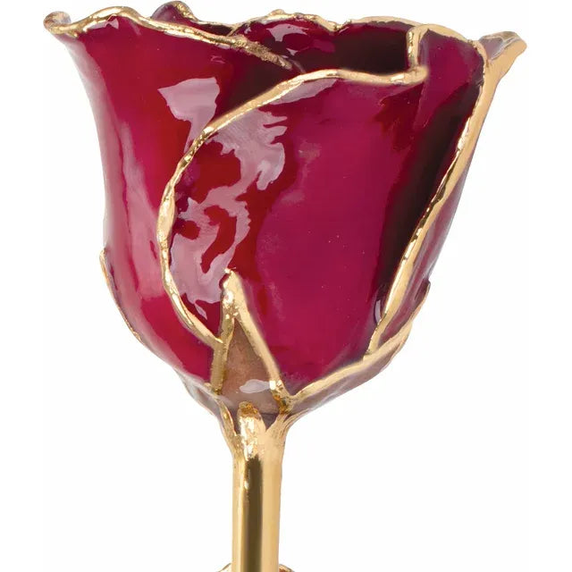 Lacquered Garnet Colored Rose with 24K Gold-Plated Trim