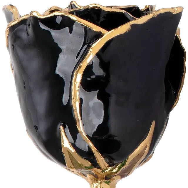 Lacquered Black Rose with 24K Gold-Plated Trim