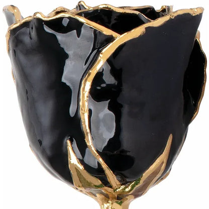 Lacquered Black Rose with 24K Gold-Plated Trim