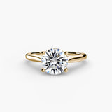 Completed Ring (United States Size 7.50)