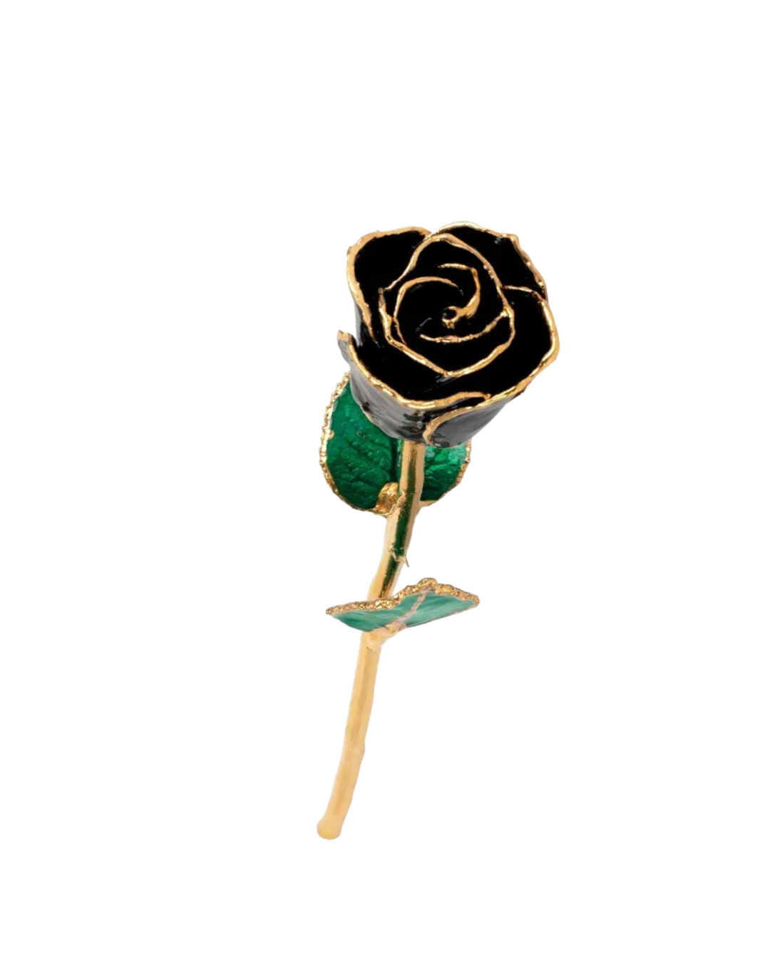 Lacquered Black Rose with 24K Gold-Plated Trim