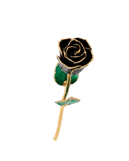 Lacquered Black Rose with 24K Gold-Plated Trim