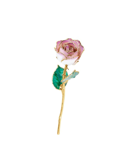Lacquered Cream & Picasso Ombre Rose with 24K Gold-Plated Trim