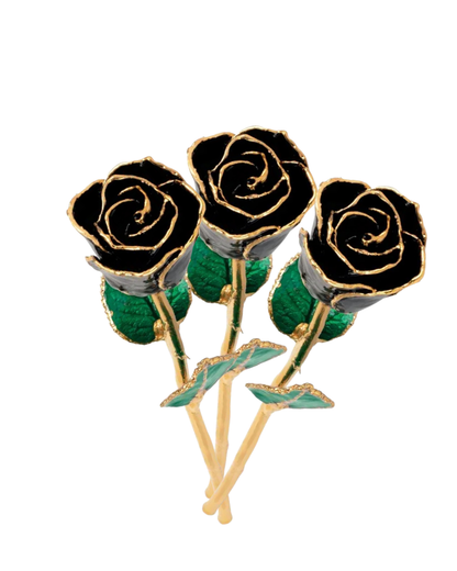 Lacquered Black Rose with 24K Gold-Plated Trim