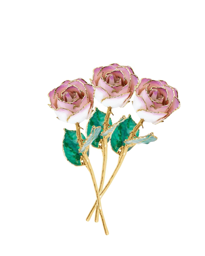 Lacquered Cream & Picasso Ombre Rose with 24K Gold-Plated Trim