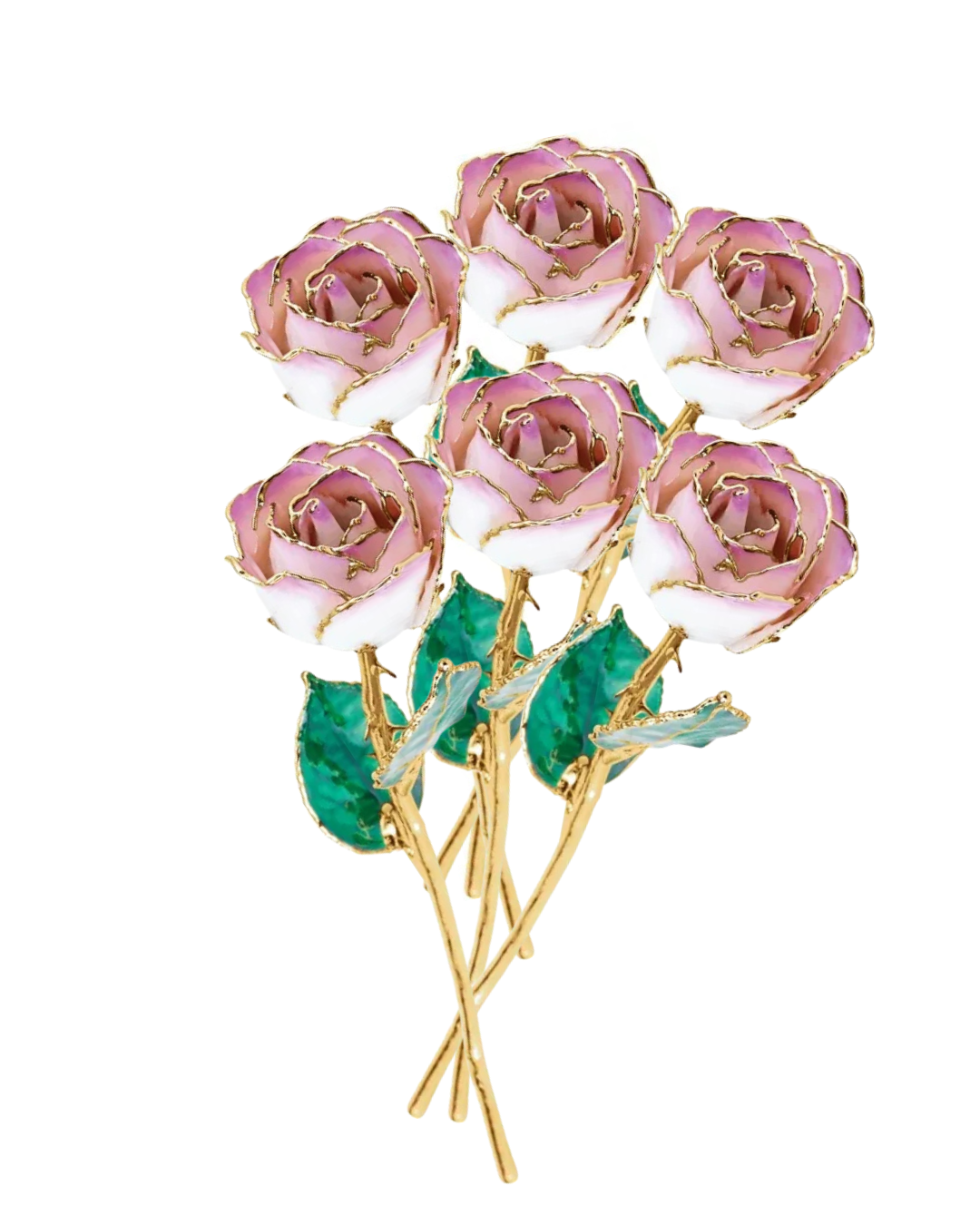 Lacquered Cream & Picasso Ombre Rose with 24K Gold-Plated Trim