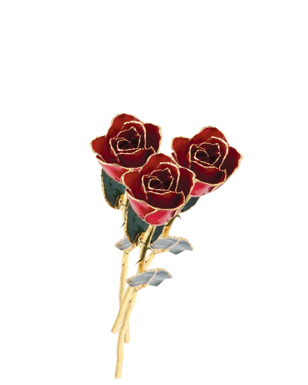 Lacquered Garnet Colored Rose with 24K Gold-Plated Trim