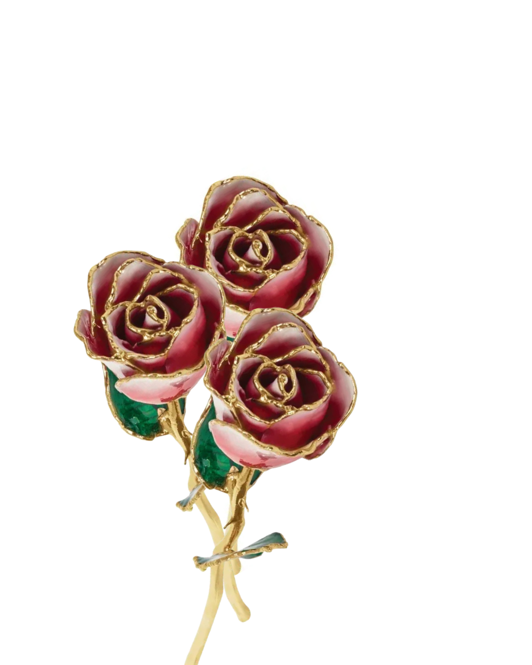 Lacquered Frozen Red & White Ombre Rose with 24K Gold-Plated Trim